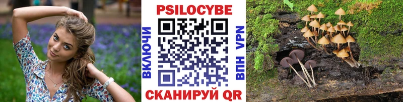Купить закладки  Лениногорск  Галлюциногенные грибы Magic Shrooms 